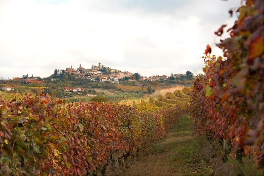 Agriturismo Antichi Poderi Gallina نيف المظهر الخارجي الصورة